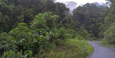 Lovely mountain tropical rainforest going to Muang Sing