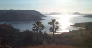 Late afternoon overlooking Lehok Gingga, Rinca