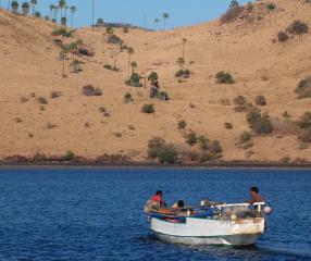 Illegal net fishing threatens  the park