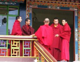 Young monks at Rumtek Monastery, Sikkim, India