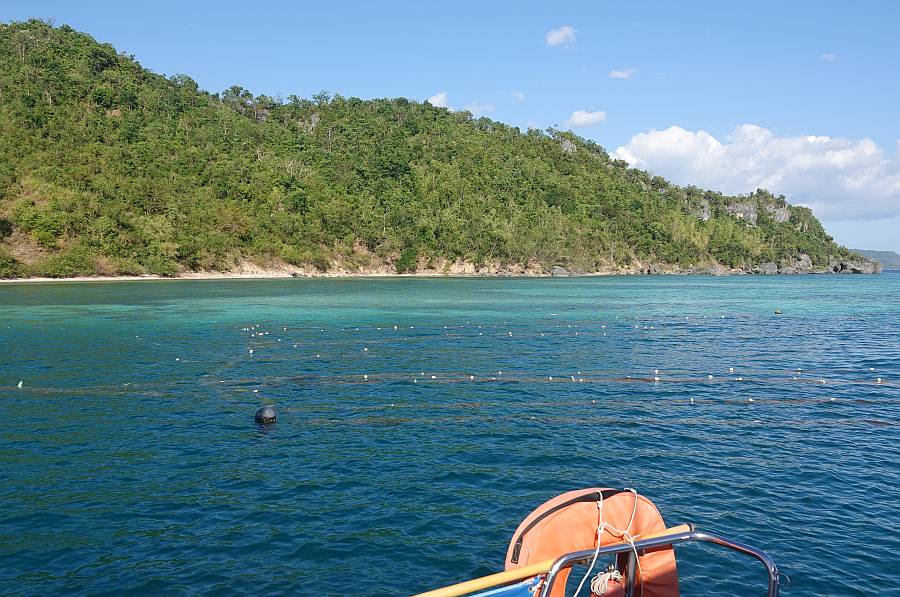 Seaweed farming in channel at Ambulong East