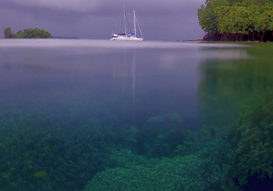 Lovely snorkeling at Lumalihe