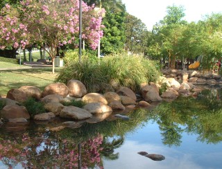 We loved the beautiful Brisbane Parks system