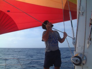 Passage under spinnaker. Great!