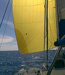 Ocelot under spinnaker, Banda Islands, Indonesia