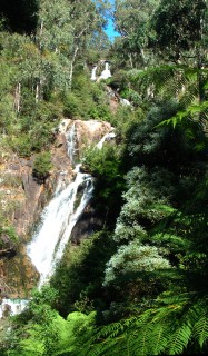 Steavenson Falls slices through lush forest east of Melbourne