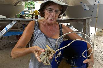 A disgusted Sue with oily bilge water SHE had to get out