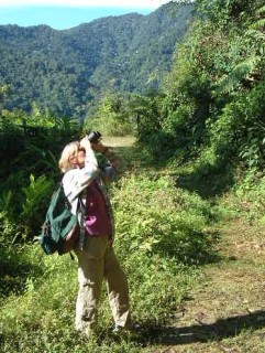 Sue birding in the Andean foothills. Cloudforest in the background.