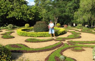 Sue in the beautiful Botanic Gardens near Kandy