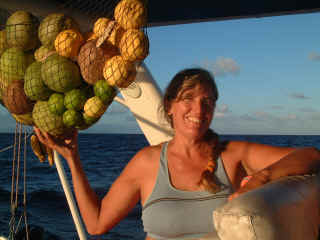 Our net of free fruit, collected in the Marquesas