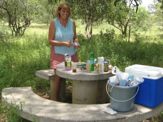 A typical roadside picnic spot in southern Africa