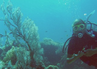 Sue making friends with a sea fan