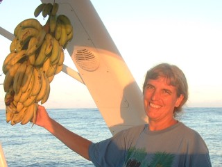 On the passage to Tonga: 40 bananas, 12 onions, 5 papayas, 1 pumpkin...