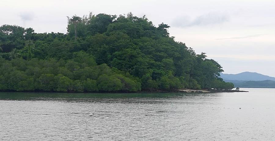 South Channel Island, looking west