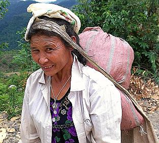 Tea picker with her morning load of tea leaves