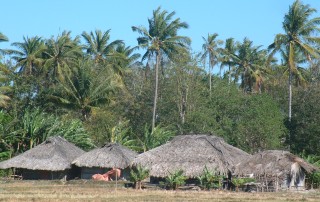 Typical Timorese homes in the countryside