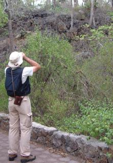 Tony stops for some birding along the trail to Las Tortugas.