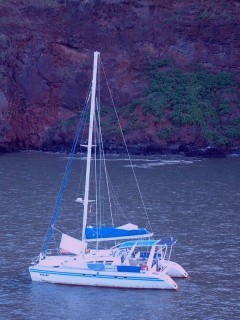 Ocelot in Ua Huka, Marquesas, after 25 days at sea