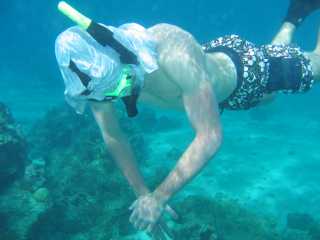 Clear blue water and fish-filled reefs