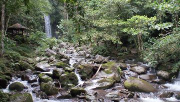 A lovely waterfall, deep in the Borneo rainforest.