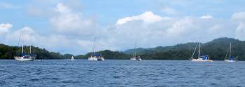 Part of the Xmas fleet at Christmas Bay in 2014