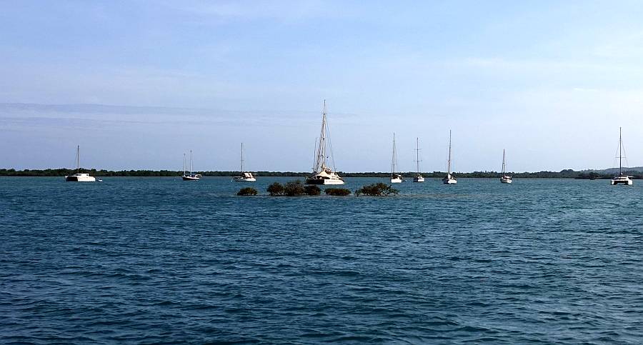 The little pond off Port Carmen can get crowded